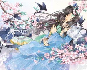 神秘入口蓝导航